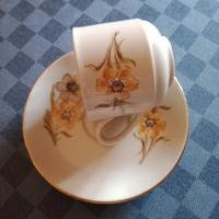 Servizio Piatti Tognana