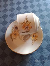 Servizio Piatti Tognana