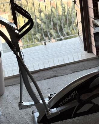 Palestra