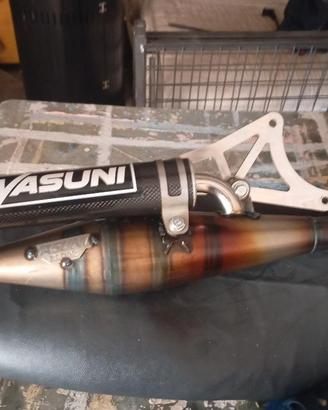 yasuni r 