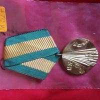 medaglia Commemorativa 