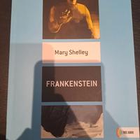 FRANKENSTEIN MARY SHELLEY B2.2 (9788899279103)