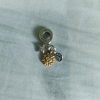 Pandora Charm Pendente