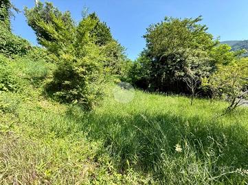 TER. RESIDENZIALE A ALZANO LOMBARDO