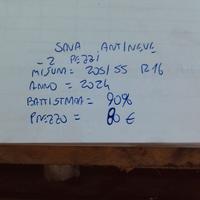 2 GOMME INVERNALI 205/65/16