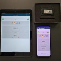 WIFI per Stufe o Caldaie a pellet domotica Alexa