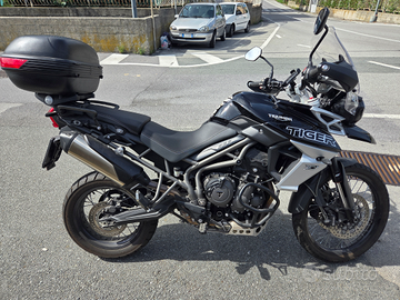 Triumph Tiger xcx abs 800 - 2019