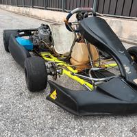 Go Kart 125 Tony Kart motore TM KV95