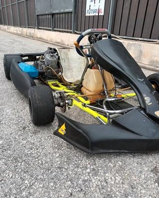 Go Kart 125 Tony Kart motore TM KV95