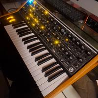 moog subsequente 37