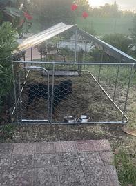 recinto per cani, con tetto in telo