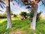 Immagine 29