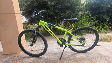 2 Bici Mtb 24' e 20'