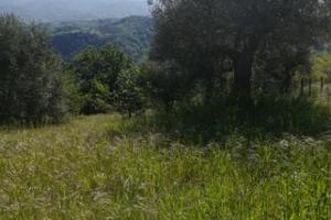 Terreno edificabile zona residenziale