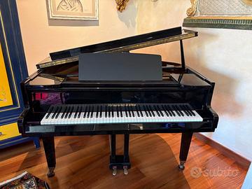 Pianoforte Steingraeber & Sohne 160