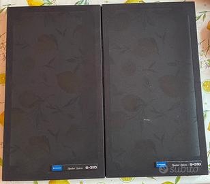 Coppia tele parapolvere pioneer s-310