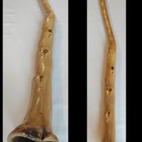 Didgeridoo in Giuggiolo 