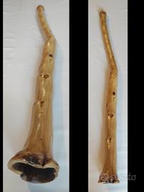 Didgeridoo in Giuggiolo 