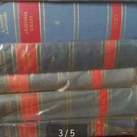 Anatomia Umana di Testut