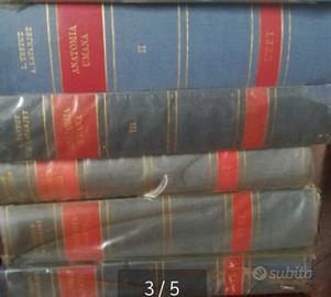 Anatomia Umana di Testut