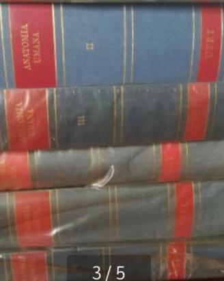 Anatomia Umana di Testut