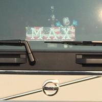 Scritta luminosa MAX