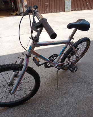 Bicicletta