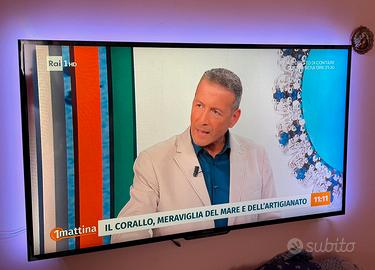 Tv Sony Bravia 49”