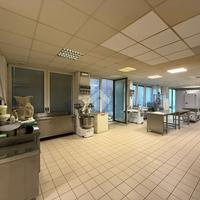 NEGOZIO A CASTIGLIONE DELLE STIVIERE