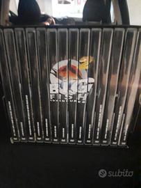 serie dvd pesca completa
