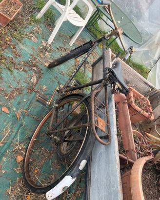 Bicicletta cinese