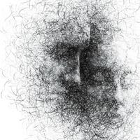 quadro stampa su tela canvas