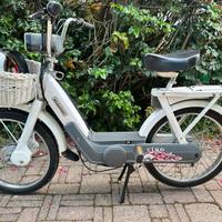 Ciao Px