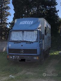 Van trasporto cavalli uso speciale