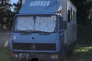 Van trasporto cavalli uso speciale