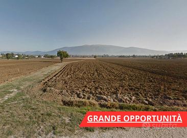 Terreno edificabile di mq 6500