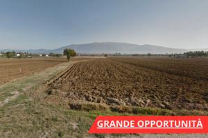 Terreno edificabile di mq 6500