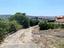 Immagine 7