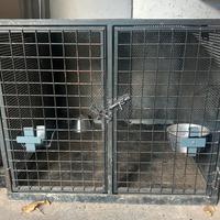 Gabbia da trasporto per cani da caccia