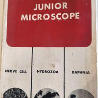 Microscopio