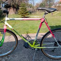 Mountain bike zanella 