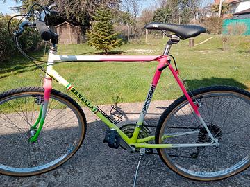 Mountain bike zanella 