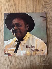 Vinile Big Joe Williams