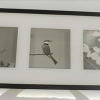 Quadro ikea con doppia profondità 71 x 31 x 3.