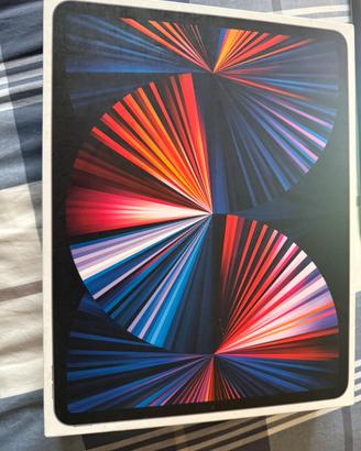 ipad pro 12.9 wifi + cellular