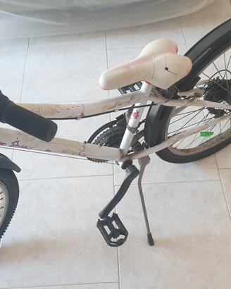 bicicletta