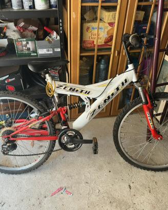Bici ragazzo