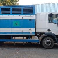 Autocarro IVECO Trasporto Bestiame