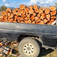 Legna di eucaliptus fresca e secca