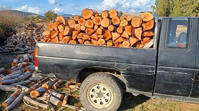 Legna di eucaliptus fresca e secca